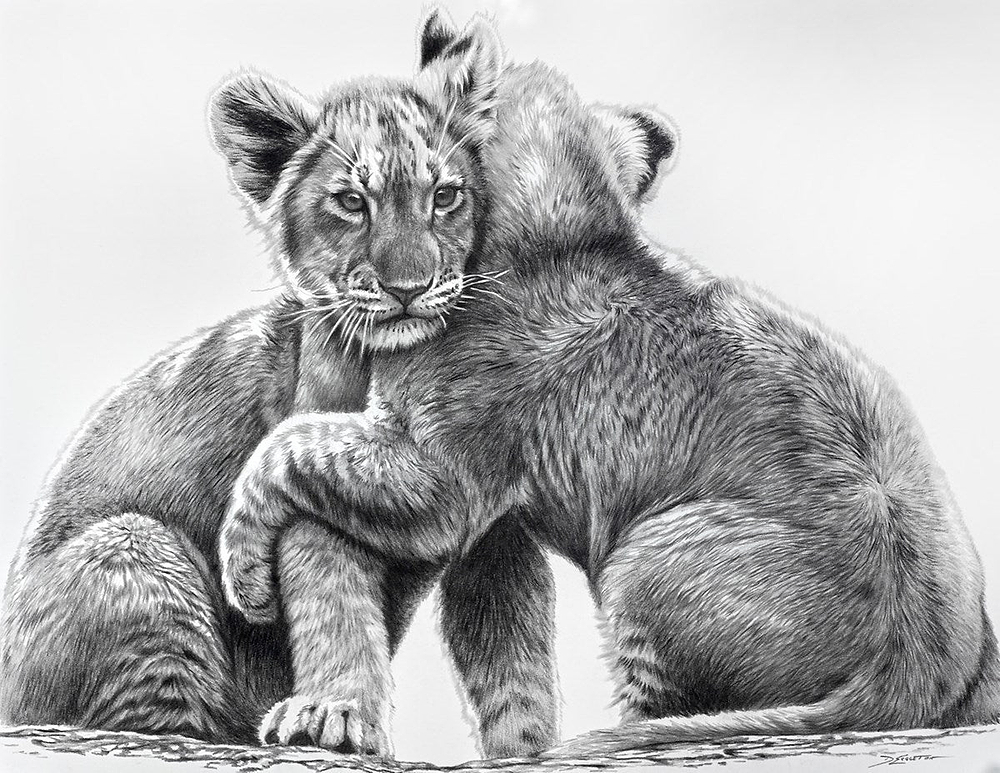 Lion Cubs