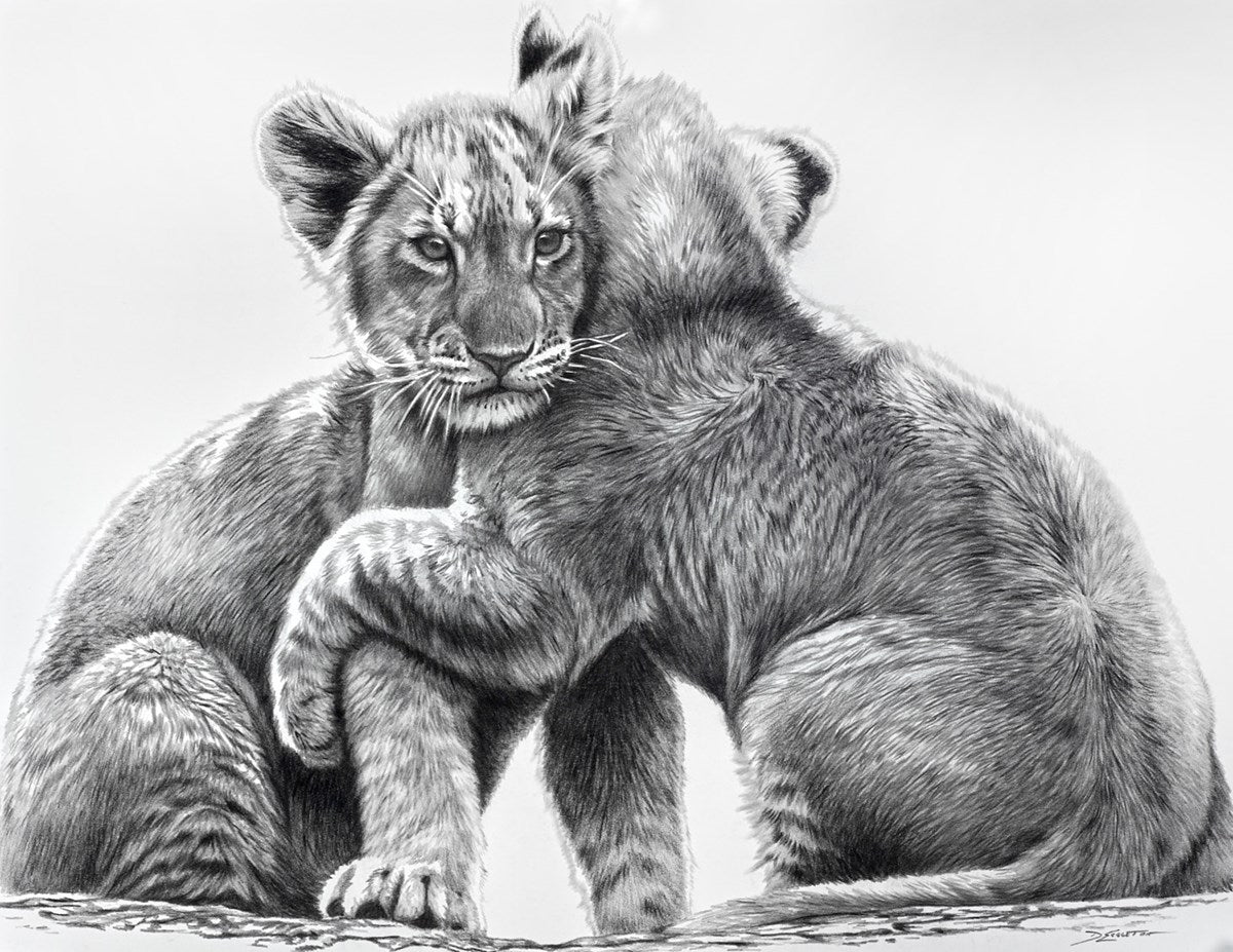 Lion Cubs