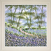 Bluebell Woods IV (Framed)