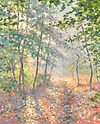 Morning Sunlight IV