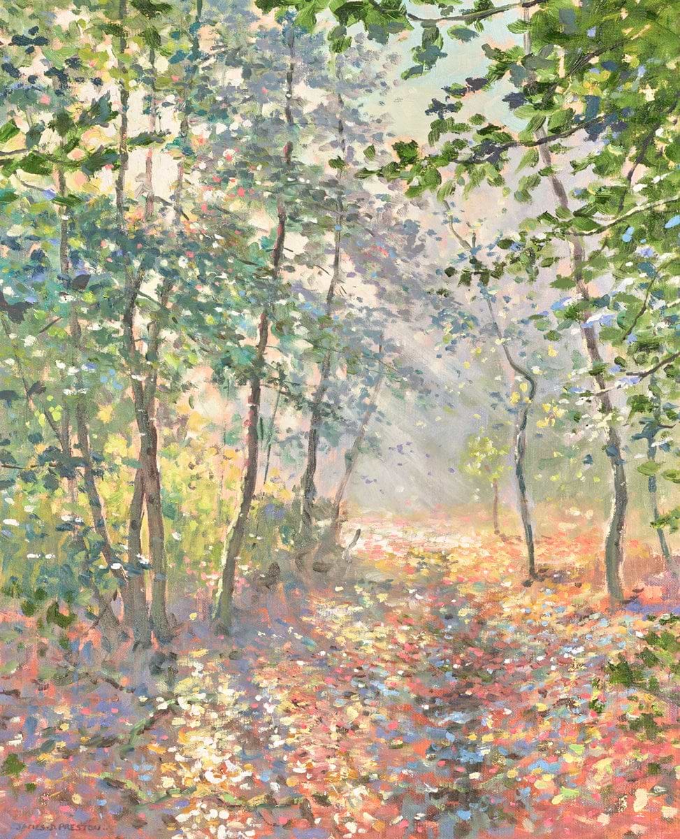Morning Sunlight IV