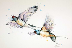 Summer Flypast- Swallows