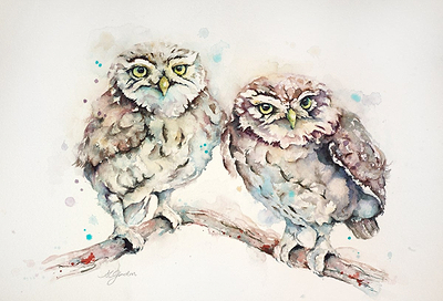 A Dapper Duo- Little Owls
