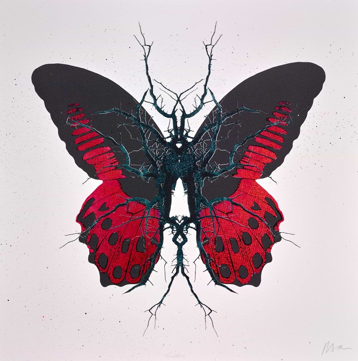 Transfix