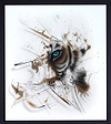Chancer (Framed)