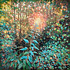 First Light