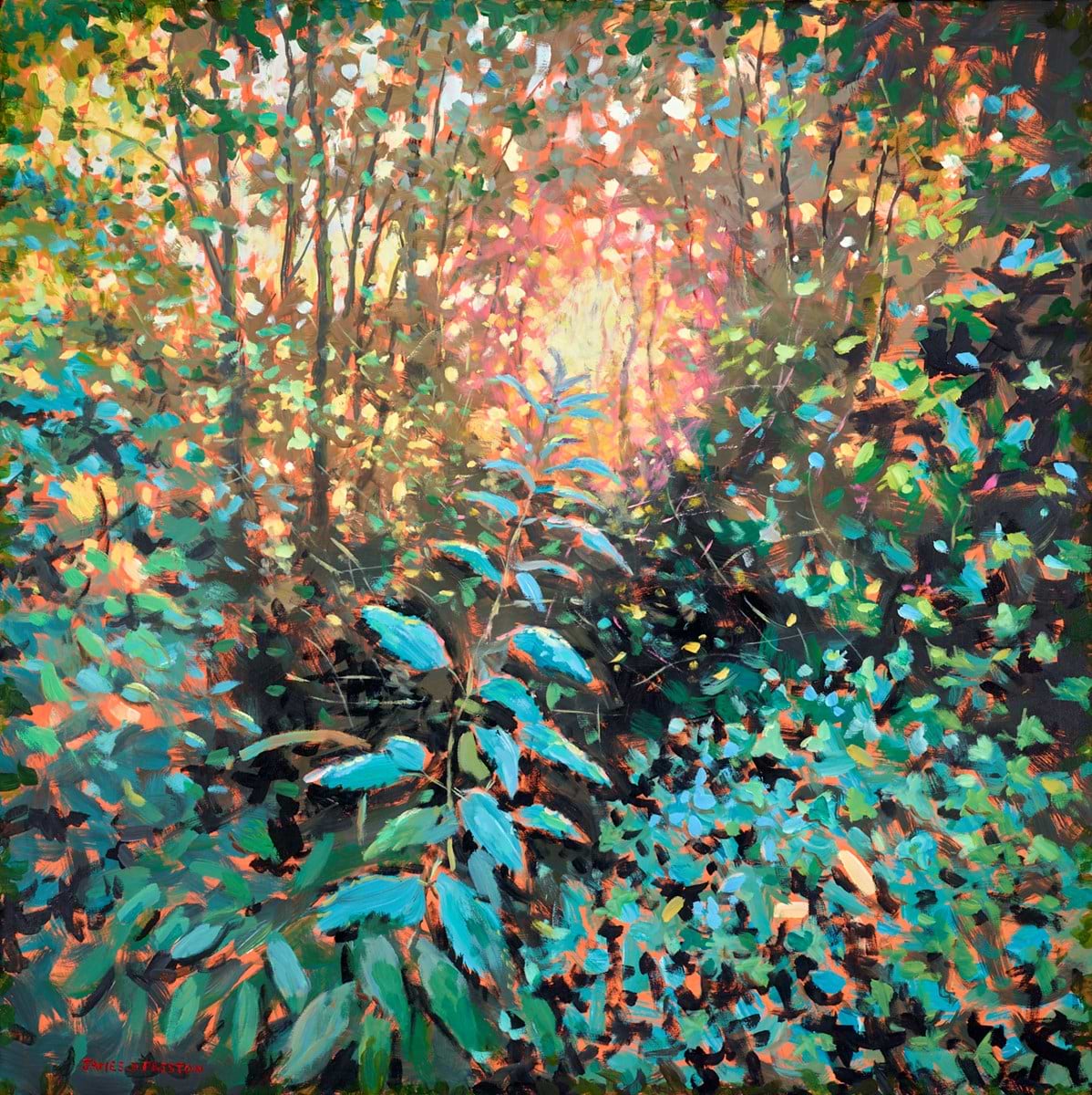 First Light