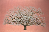 Pear Blossom