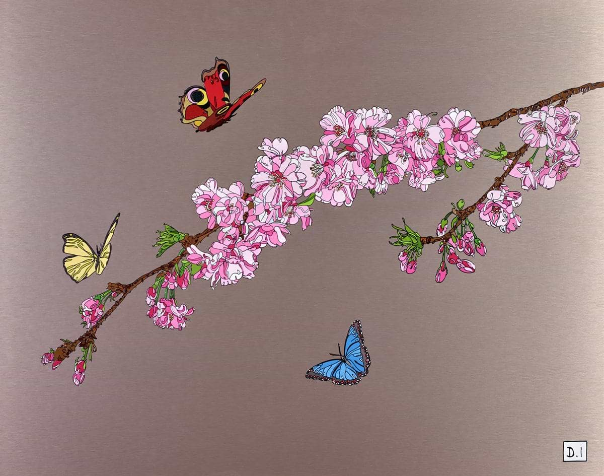 Blossoms And Butterflies