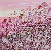 Dawns Bloom