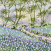 Floral Dream IV