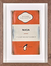 NASA (Orange) AP 1/1