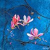 Magnolia Bees