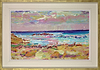 Sennen Cove, May (Framed)