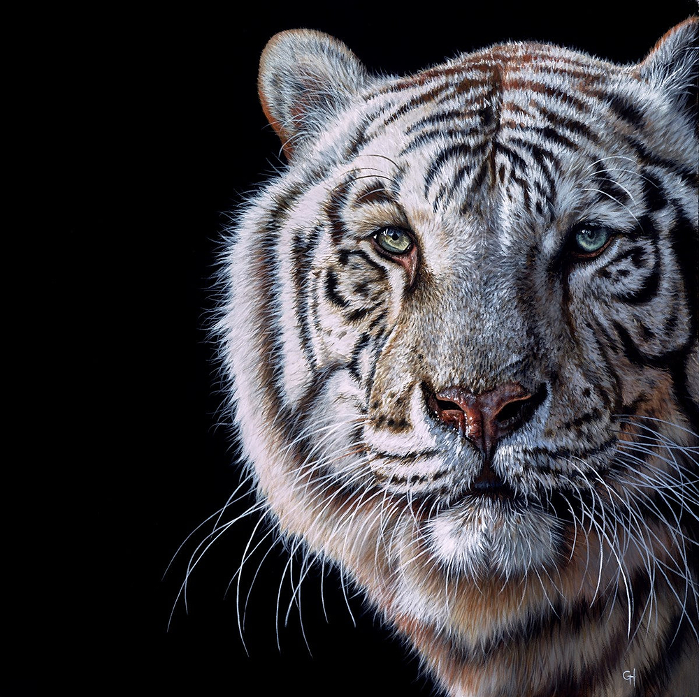 Tiger Eyes III