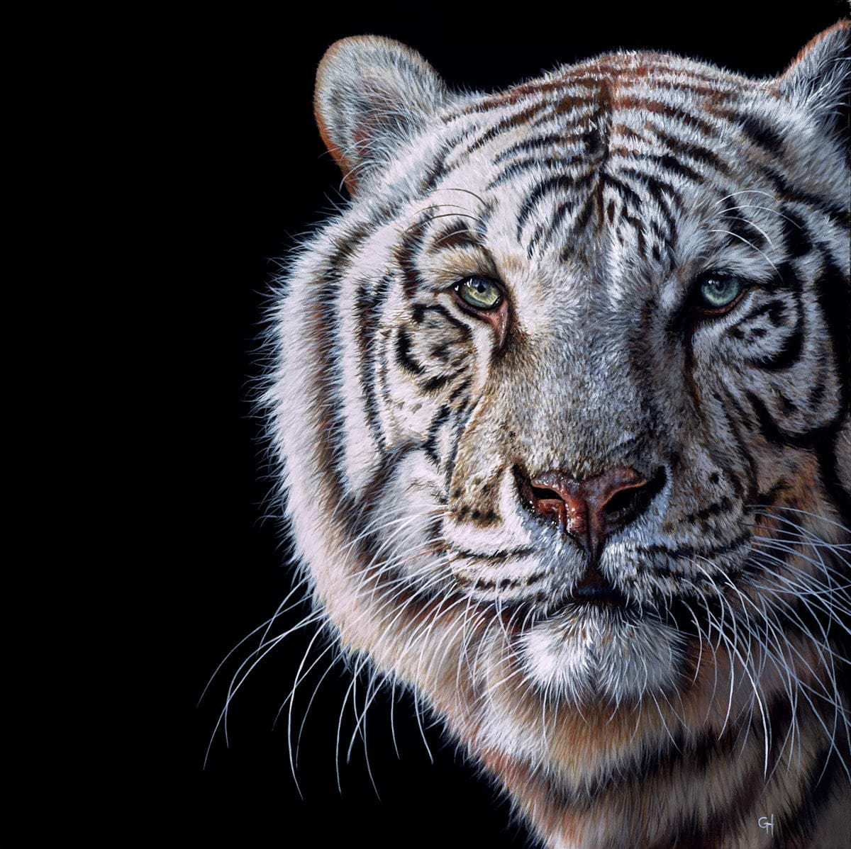 Tiger Eyes III