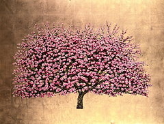 Beautiful Blossom Tree
