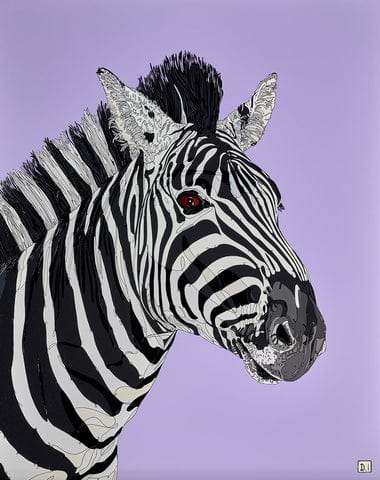 Zebra On Purple