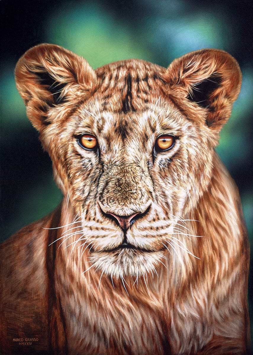Lioness