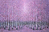 A Tranquil Time VI