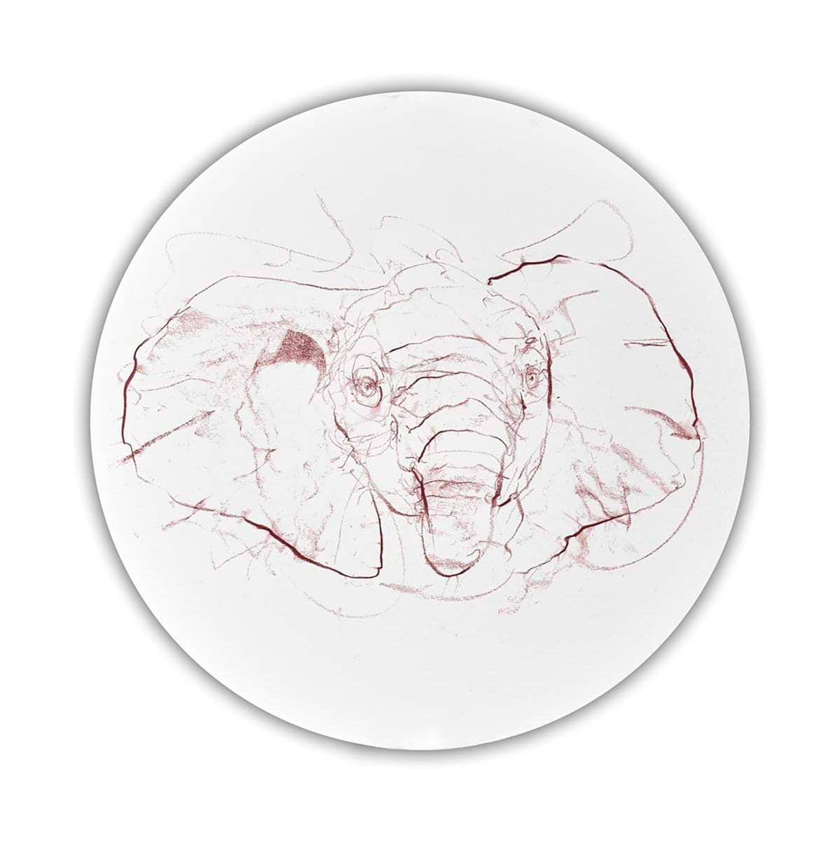 Elephant Study VI
