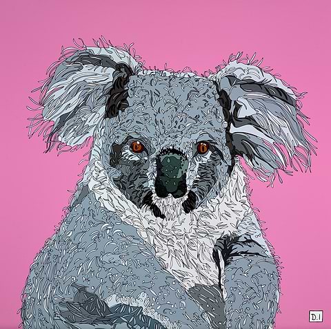 Koala On Pink