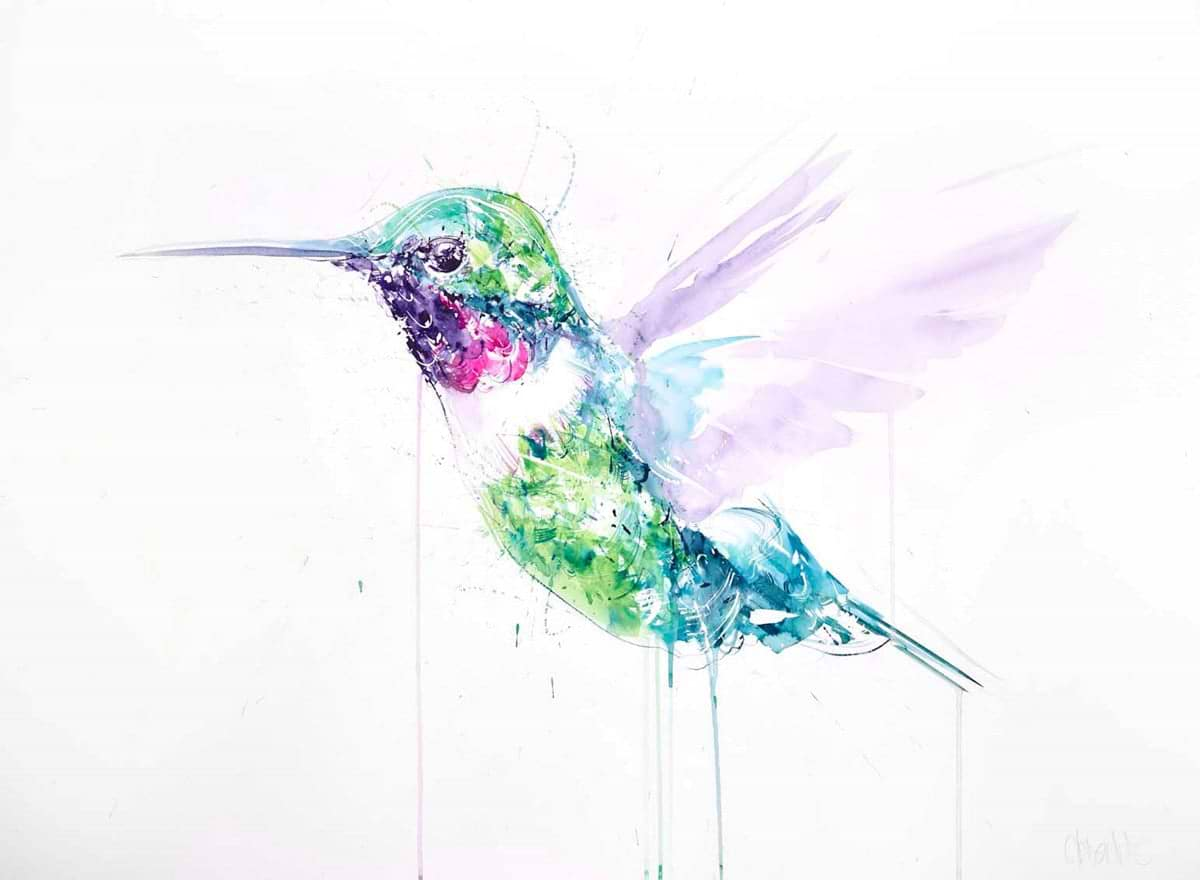 Hummingbird I