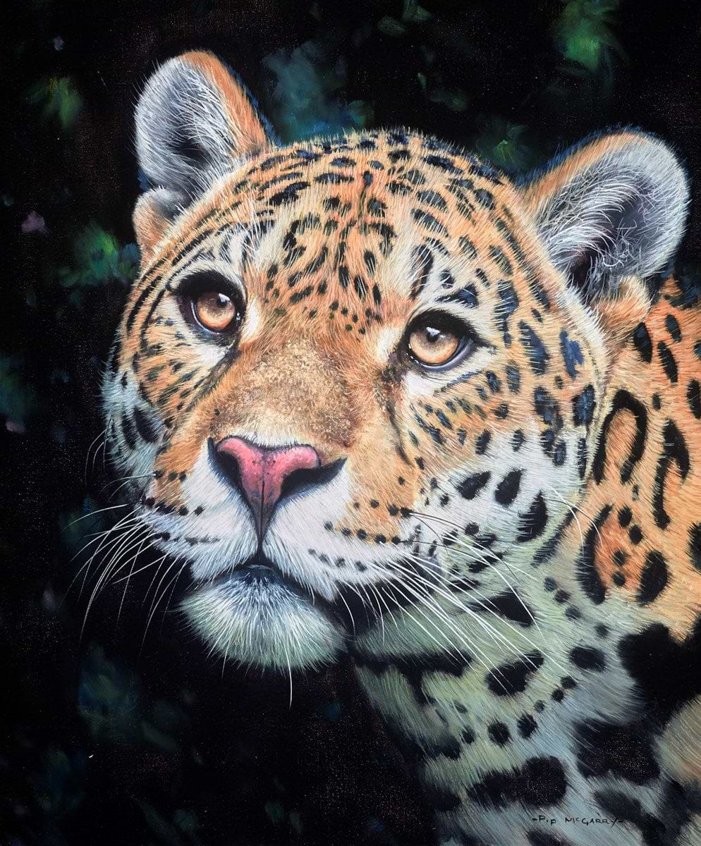 Jaguar Portrait