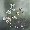 Wild Cosmos