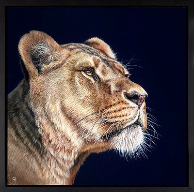 Lioness II (Framed)