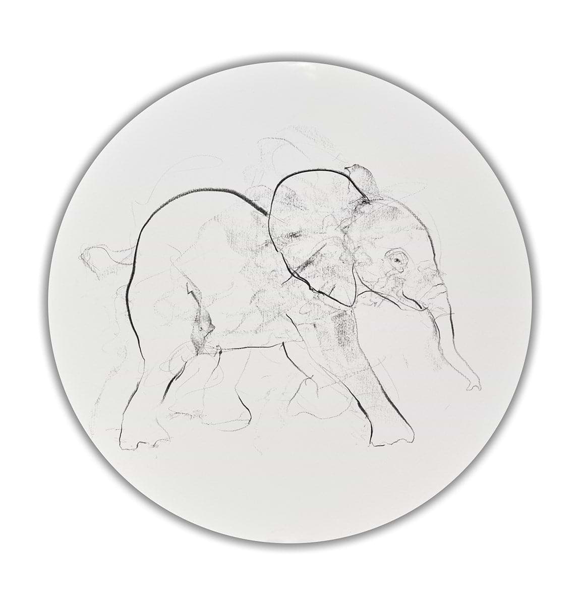 Elephant Study XXIX