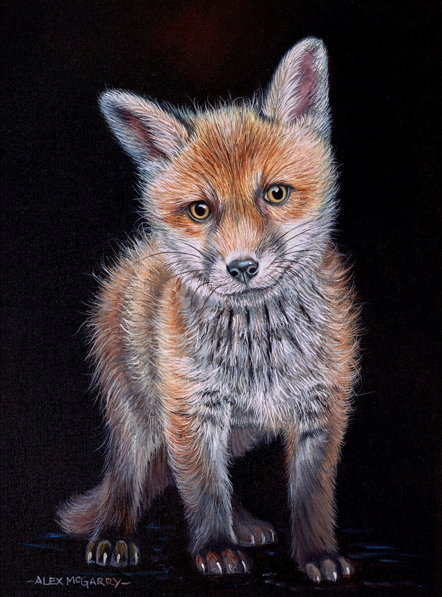 Mr Fox