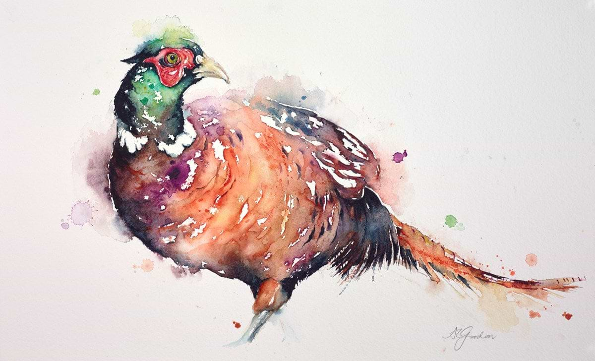 Fancy Pheasant