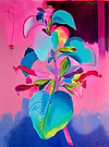 Salvia