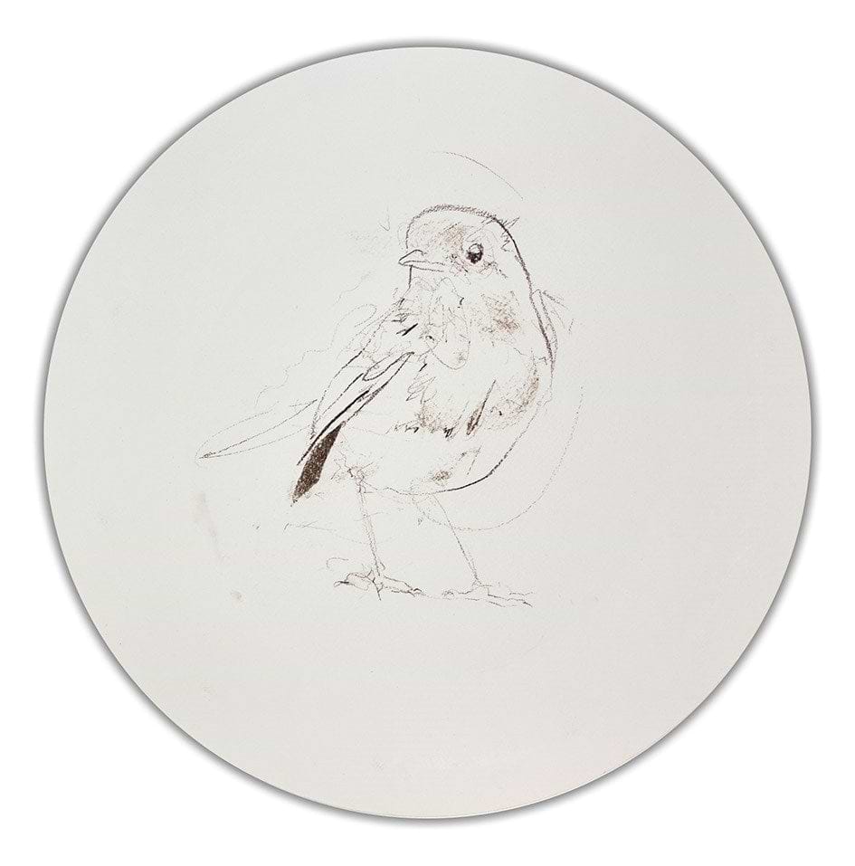 Robin Sketch IV