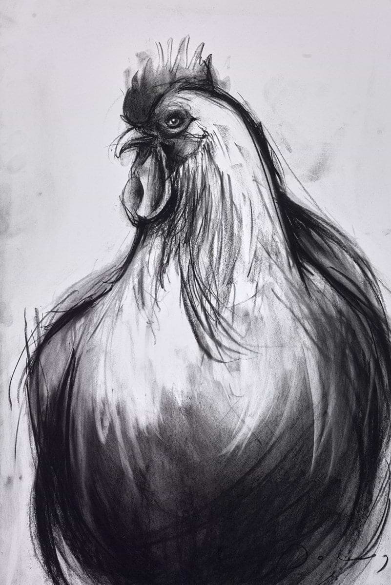 Cockerel Doug Hyde Clarendon Fine Art