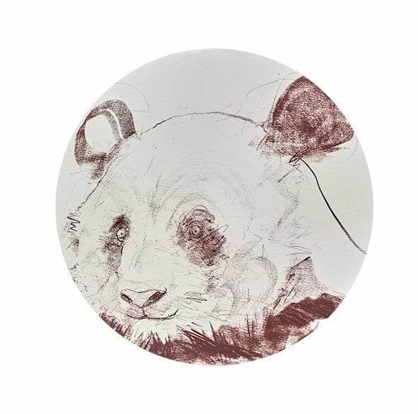 Giant Panda Study VII