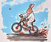 Mud Lark