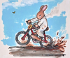 Mud Lark