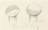Yin and Yang Study