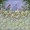 Bluebell Blooms V
