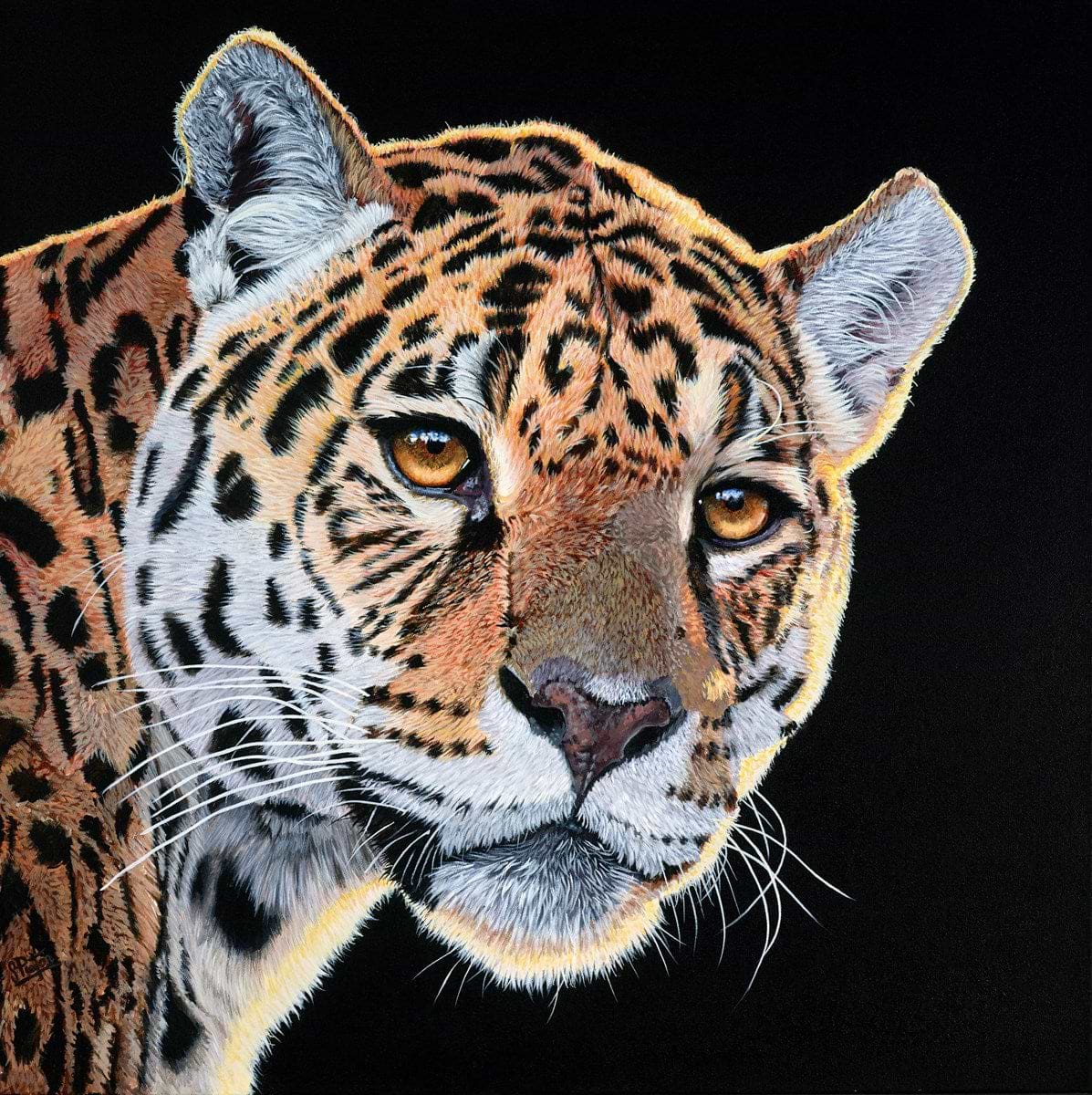 Jungle Hunter