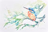 Kingfisher on the Riverbank