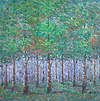 Woodland Majesty IV