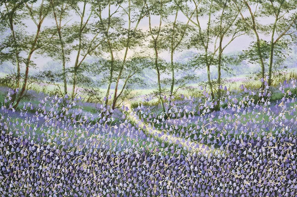Trees And Bluebells