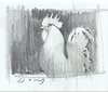 Rooster