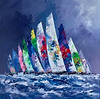 Born for Sailing V