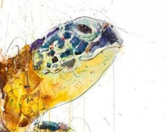 Sea Turtle 2020 (AP)