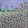 Wildflowers in the Breeze V