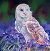 Bluebell Owl